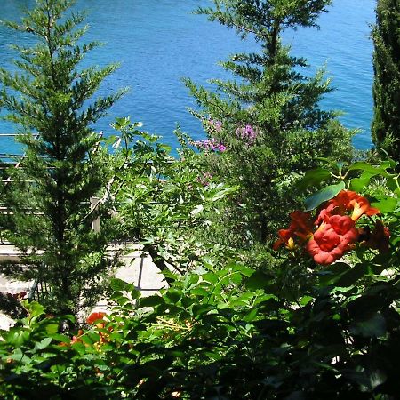 Apartments Mercep Dubrovnik Eksteriør billede
