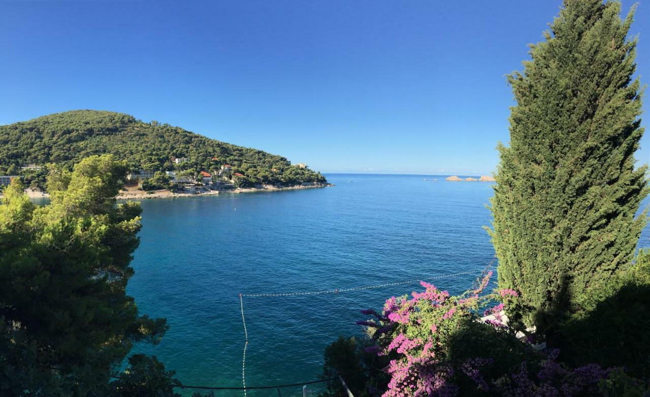 Apartments Mercep Dubrovnik Eksteriør billede